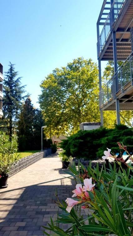 Hotel Csopak Resort & Lake Dış mekan fotoğraf